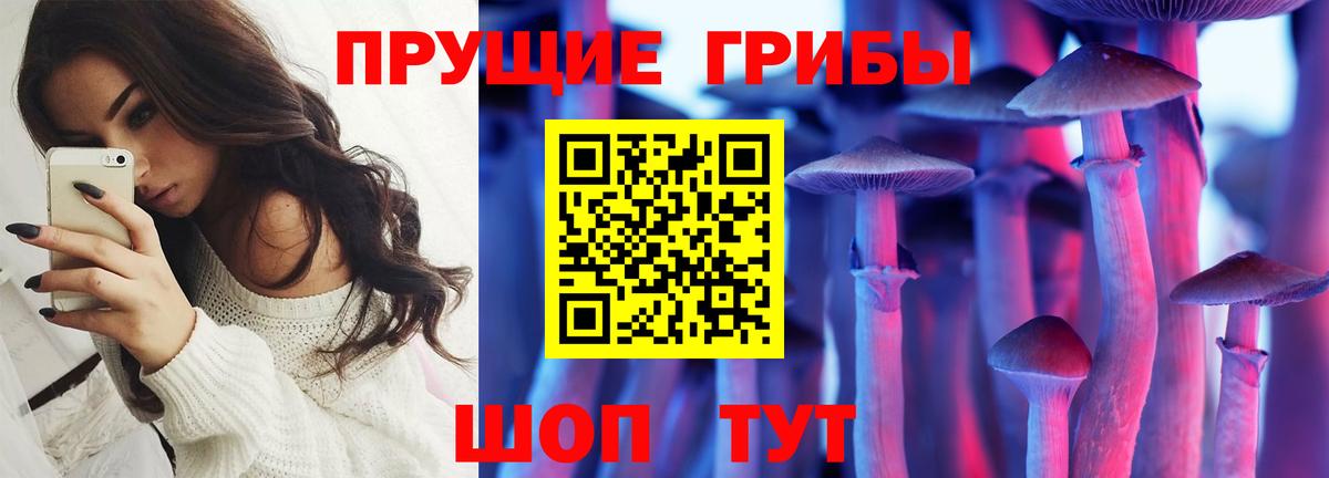 Псилоцибиновые грибы ЛСД  Вход с VPN  Рузаевка  магазин  наркотиков  Псилоцибиновые грибы Psilocybine cubensis 